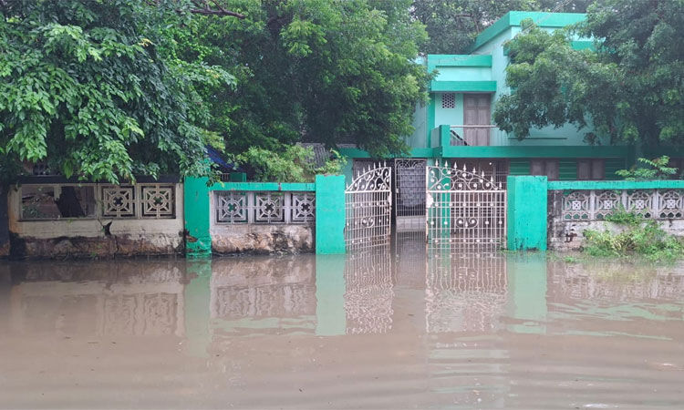 விருத்தாசலத்தில் இரவு விடிய விடிய மழை கொட்டி... ... இன்றைய முக்கிய செய்திகள் சில வரிகளில்... (13.12.2024)