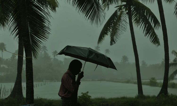 கேரளாவில் 8 மாவட்டங்களுக்கு ரெட் அலர்ட்  ... ... கேரளாவில் பயங்கர  நிலச்சரிவு: பலி எண்ணிக்கை  123 ஆக உயர்வு -  இரவிலும் தொடரும் மீட்பு பணிகள்