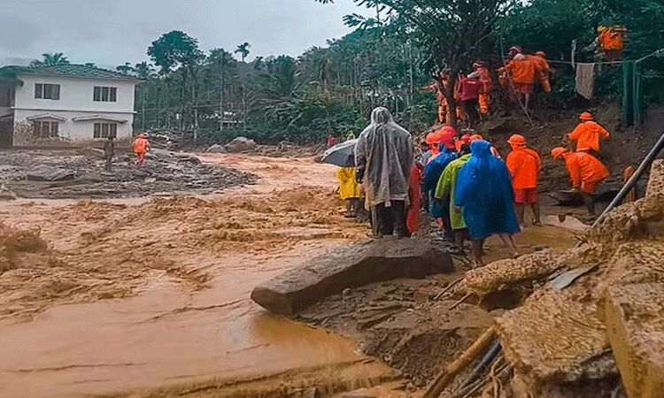 வயநாடு நிலச்சரிவு: பேரிடரில் உயிரிழந்தோர்... ... வயநாடு நிலச்சரிவு: பலி எண்ணிக்கை 270 ஆக உயர்வு - 2வது நாளாக தொடரும் மீட்புப்பணி