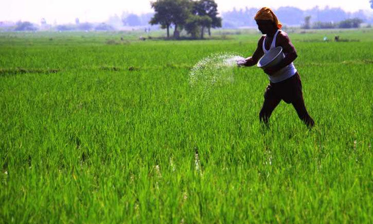 தமிழ்நாட்டில் வேளாண் பரப்பளவு 1.93 லட்சம் ஹெக்டேர் அதிகரிப்பு