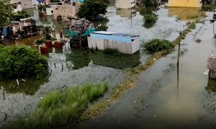 பாடியநல்லூர்: தங்கள் பகுதியை யாரும் கண்டுகொள்ளவில்லை என மக்கள் வேதனை